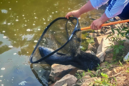 钓鱼知识 | 晚秋野钓记住这几点，莫要错过窗口期！