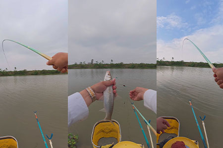 新品情报 | 沃鼎王者神剑极轻小综合实钓，指哪打哪，弹控全场！