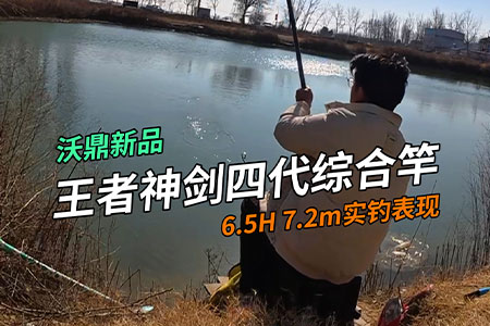 新品情报 | 沃鼎王者神剑四代6.5H实钓，青鱼、草鱼统统拿捏！