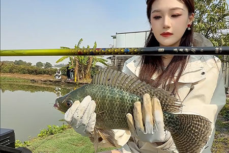 新品情报 | 沃鼎王者神剑四代4.5H实钓：轻韧硬挺，从容连竿！